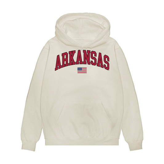 Arkansas - NCAA Baseball : Tyler Holland - USA Premium Hooded Sweatshirt-0