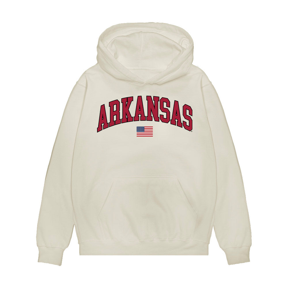 Arkansas - NCAA Baseball : Ty Burnham - USA Premium Hooded Sweatshirt-0