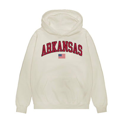 Arkansas - NCAA Baseball : Ty Burnham - USA Premium Hooded Sweatshirt-0