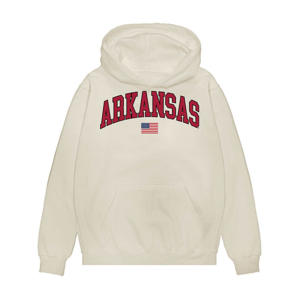 Arkansas - NCAA Baseball : Brody Crane - USA Premium Hooded Sweatshirt-0