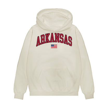 Arkansas - NCAA Baseball : Brody Crane - USA Premium Hooded Sweatshirt-0