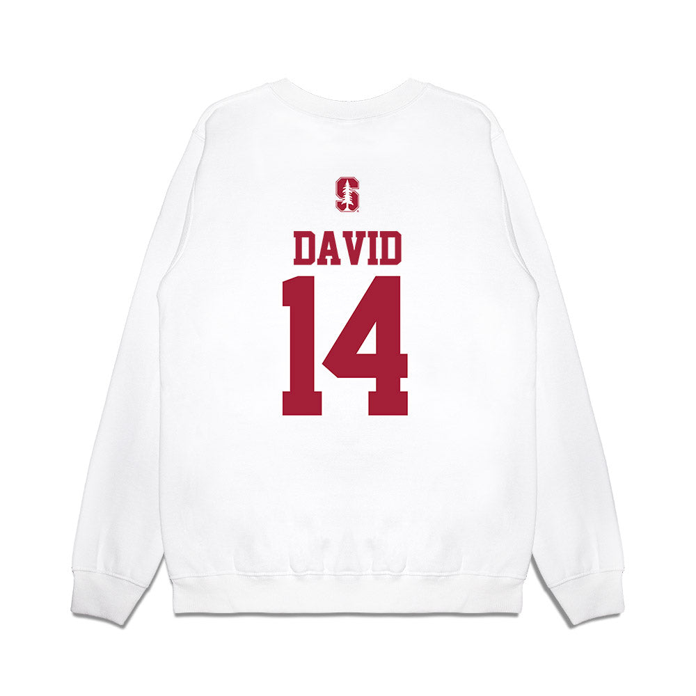 Stanford - NCAA Baseball : Sebastian David - USA Raglan Premium Crewneck Sweatshirt-1