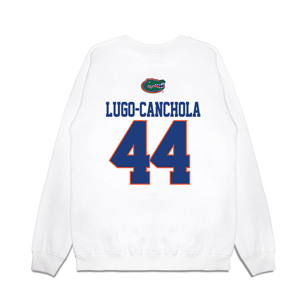Florida - NCAA Baseball : Ernesto Lugo-Canchola - USA Raglan Premium Crewneck Sweatshirt-1