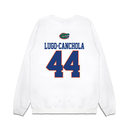 Florida - NCAA Baseball : Ernesto Lugo-Canchola - USA Raglan Premium Crewneck Sweatshirt-1