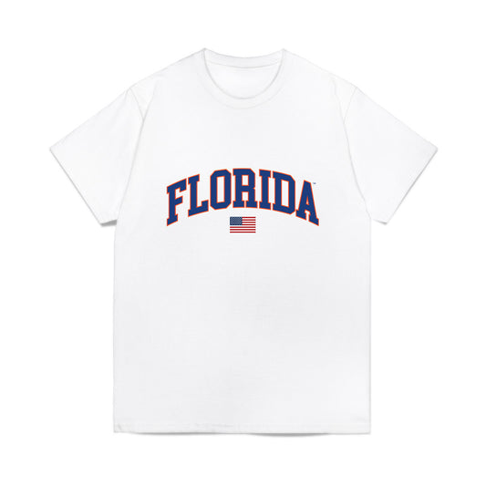 Florida - NCAA Baseball : Landon Stripling - USA Raglan Comfort Colors T-Shirt-0