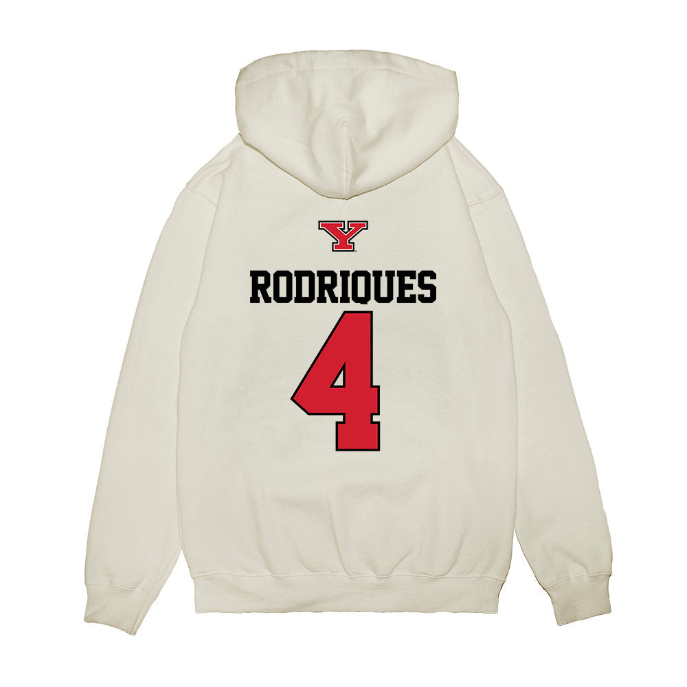 Youngstown State - NCAA Baseball : Michael Rodriques - USA Raglan Premium Hooded Sweatshirt-1