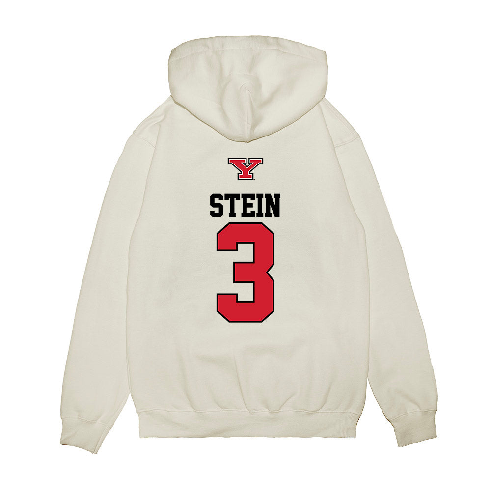 Youngstown State - NCAA Baseball : Bowman Stein - USA Raglan Premium Hooded Sweatshirt-1