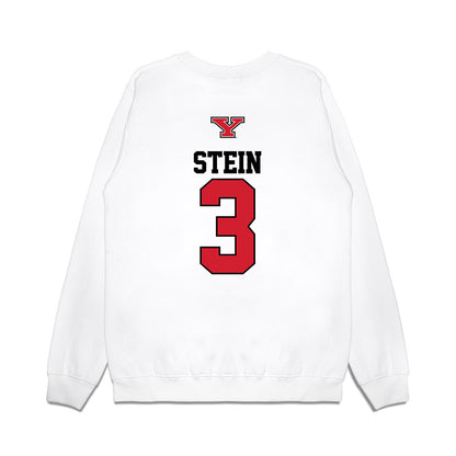 Youngstown State - NCAA Baseball : Bowman Stein - USA Raglan Premium Crewneck Sweatshirt-1