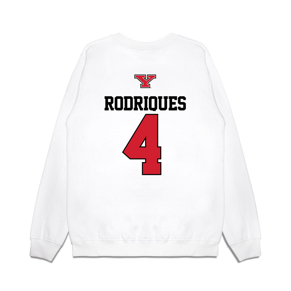 Youngstown State - NCAA Baseball : Michael Rodriques - USA Raglan Premium Crewneck Sweatshirt-1