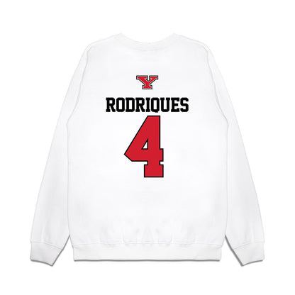 Youngstown State - NCAA Baseball : Michael Rodriques - USA Raglan Premium Crewneck Sweatshirt-1