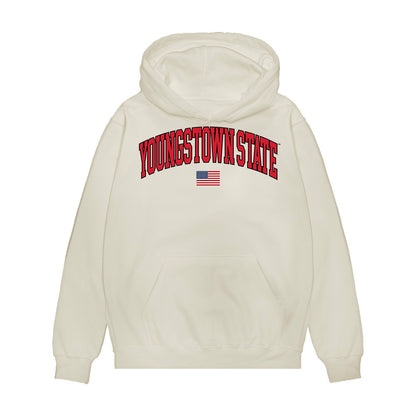 Youngstown State - NCAA Baseball : Michael Rodriques - USA Raglan Premium Hooded Sweatshirt-0