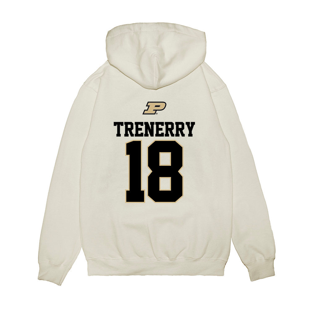 Purdue - NCAA Baseball : Joe Trenerry - USA Raglan Premium Hooded Sweatshirt-1