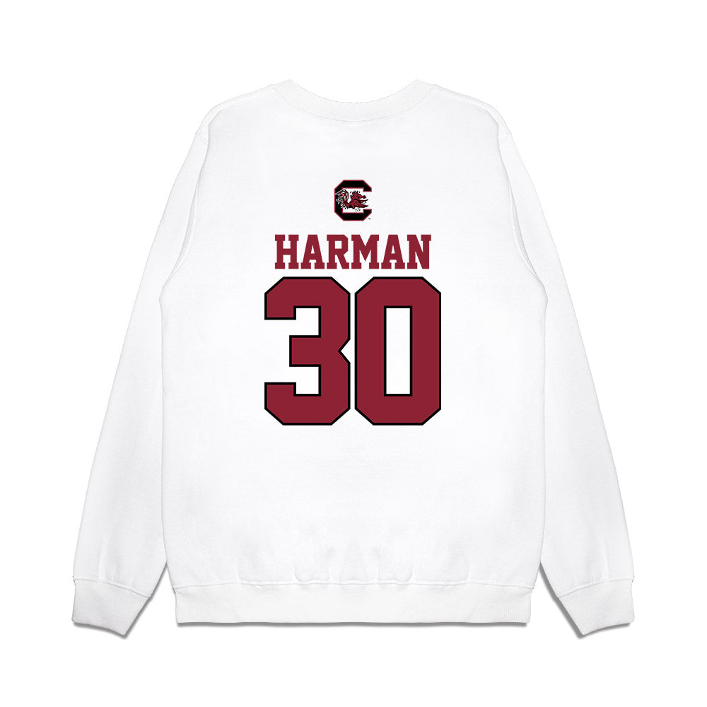 South Carolina - NCAA Baseball : Dawson Harman - USA Premium Crewneck Sweatshirt-1