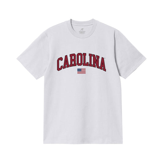 South Carolina - NCAA Baseball : Ethan Bass - USA Comfort Colors T-Shirt-0