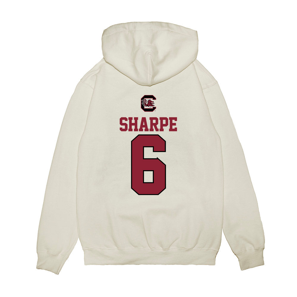 South Carolina - NCAA Softball : Morgan Sharpe - USA Premium Hooded Sweatshirt-1