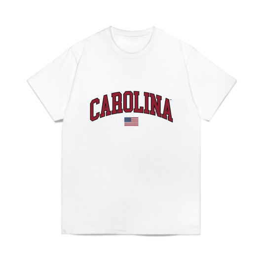 South Carolina - NCAA Softball : Irianis Garcia - USA Comfort Colors T-Shirt-0