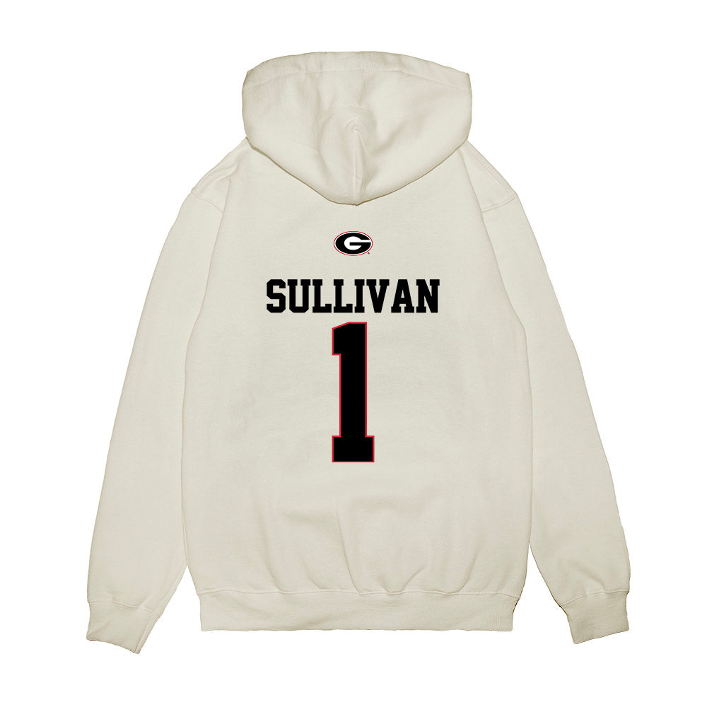 Georgia - NCAA Softball : Delani Sullivan - USA Raglan Premium Hooded Sweatshirt-1