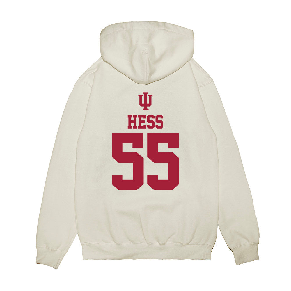 Indiana - NCAA Softball : Taylor Hess - USA Premium Hooded Sweatshirt-1