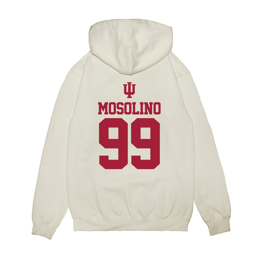 Indiana - NCAA Softball : Reese Mosolino - USA Premium Hooded Sweatshirt-1