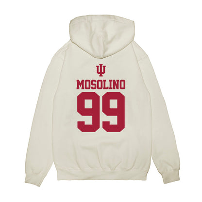 Indiana - NCAA Softball : Reese Mosolino - USA Premium Hooded Sweatshirt-1