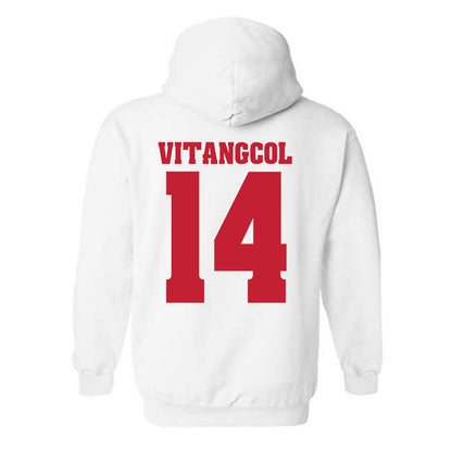 Wisconsin - NCAA Softball : Sydney Vitangcol - Classic Shersey Hooded Sweatshirt-1