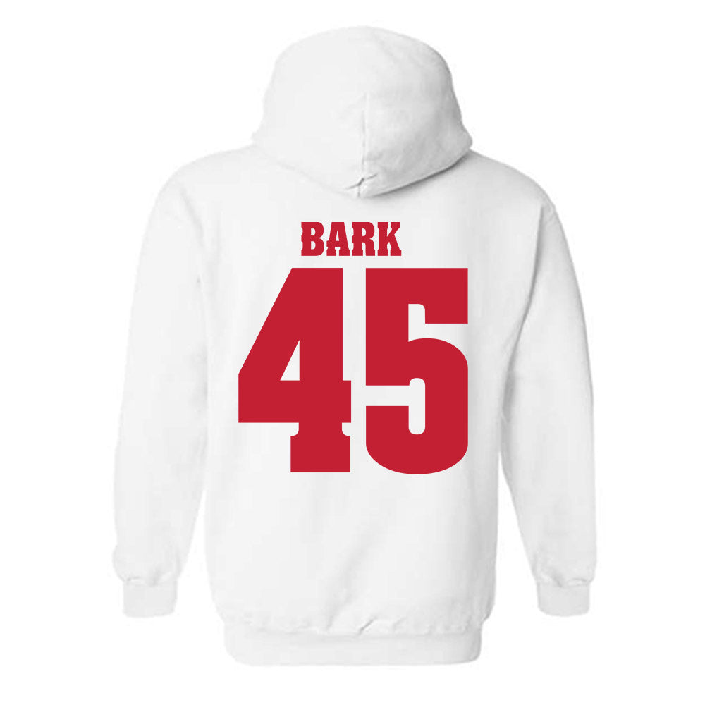 Wisconsin - NCAA Softball : Alivia Bark - Classic Shersey Hooded Sweatshirt-1