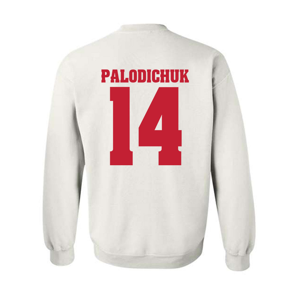 Wisconsin - NCAA Men's Ice Hockey : Joe Palodichuk - Classic Shersey Crewneck Sweatshirt-1