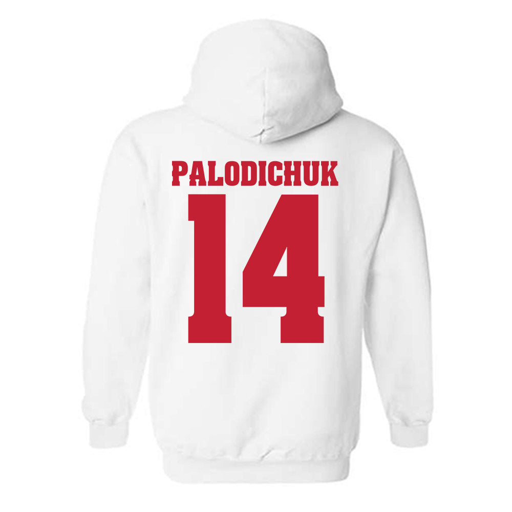 Wisconsin - NCAA Men's Ice Hockey : Joe Palodichuk - Classic Shersey Hooded Sweatshirt-1