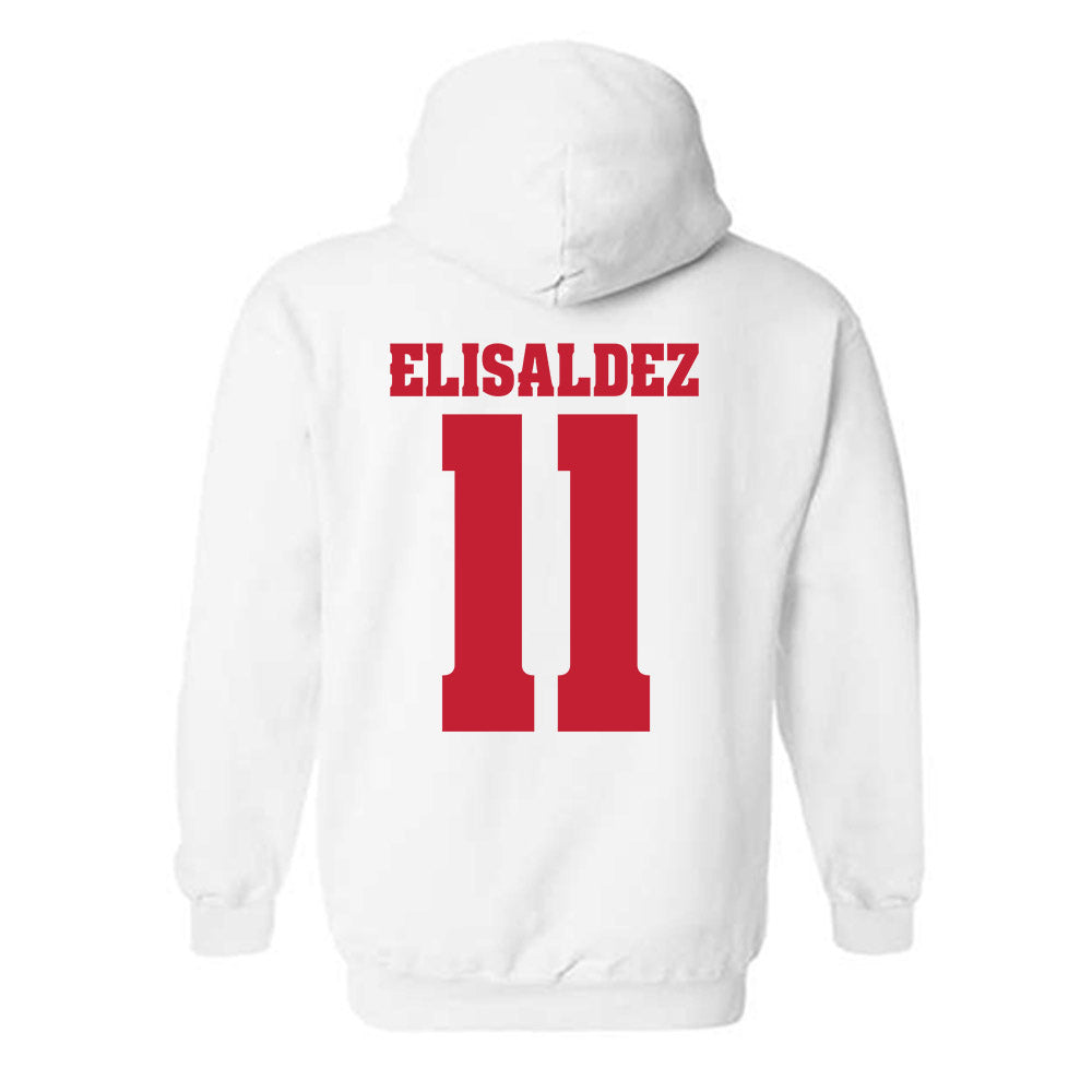 Wisconsin - NCAA Women's Basketball : Caia Elisaldez - Classic Shersey Hooded Sweatshirt-1