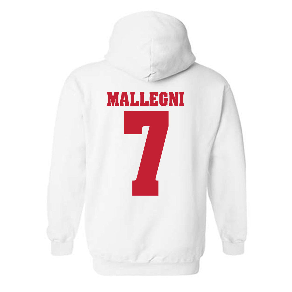 Wisconsin - NCAA Women's Basketball : Teagan Mallegni - Classic Shersey Hooded Sweatshirt-1