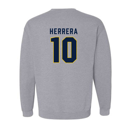 Michigan - NCAA Men's Soccer : Duilio Herrera - Classic Shersey Crewneck Sweatshirt-1