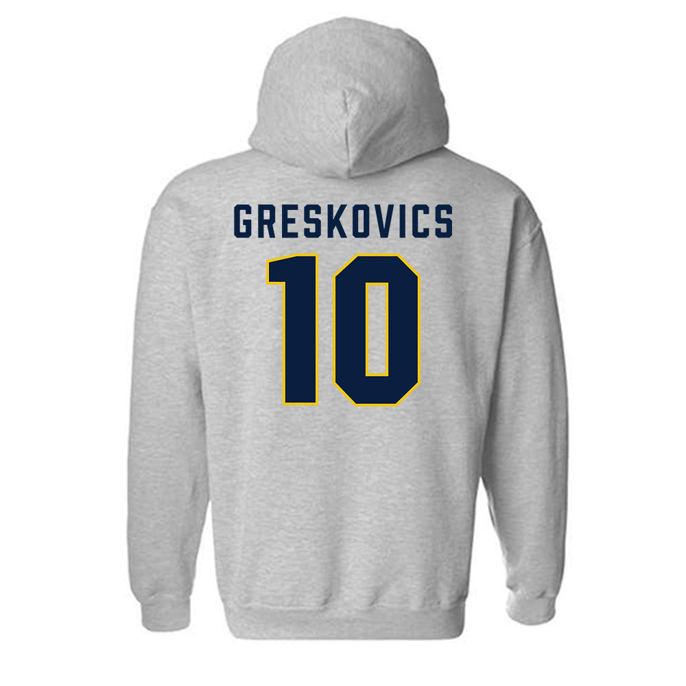 Michigan - NCAA Women's Volleyball : Carly Greskovics - Classic Shersey Hooded Sweatshirt-1