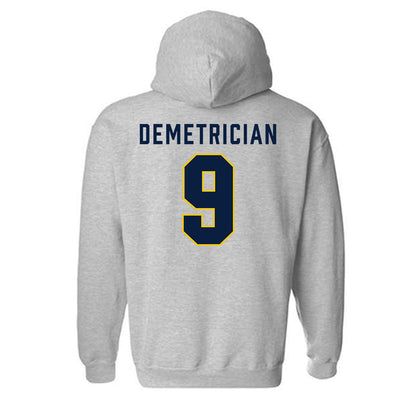 Michigan - NCAA Women's Volleyball : Ella Demetrician - Classic Shersey Hooded Sweatshirt-1