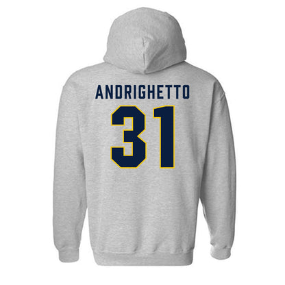 Michigan - NCAA Football : Nico Andrighetto - Classic Shersey Hooded Sweatshirt-1
