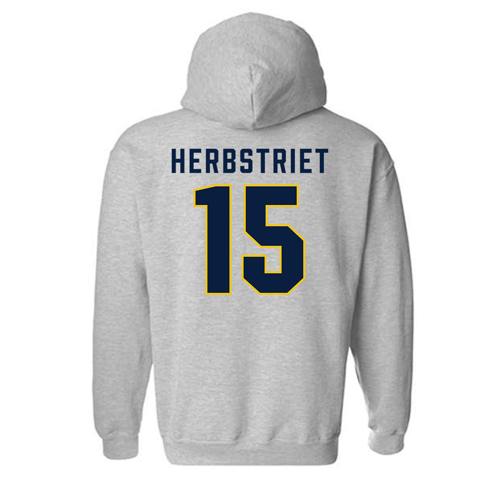Michigan - NCAA Football : Chase Herbstriet - Classic Shersey Hooded Sweatshirt-1
