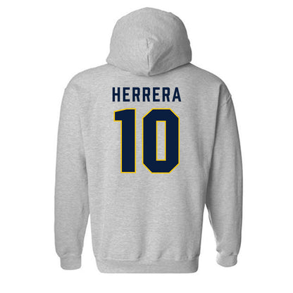 Michigan - NCAA Men's Soccer : Duilio Herrera - Classic Shersey Hooded Sweatshirt-1