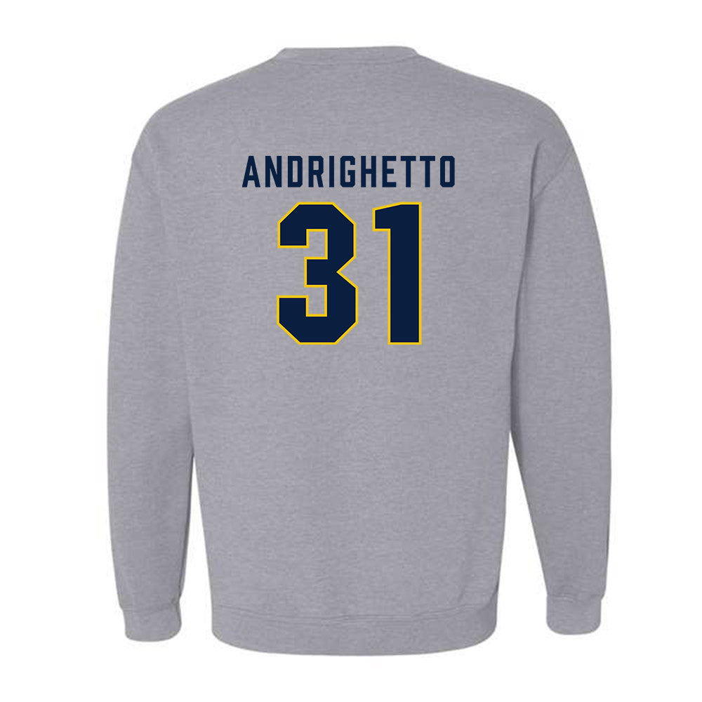 Michigan - NCAA Football : Nico Andrighetto - Classic Shersey Crewneck Sweatshirt-1