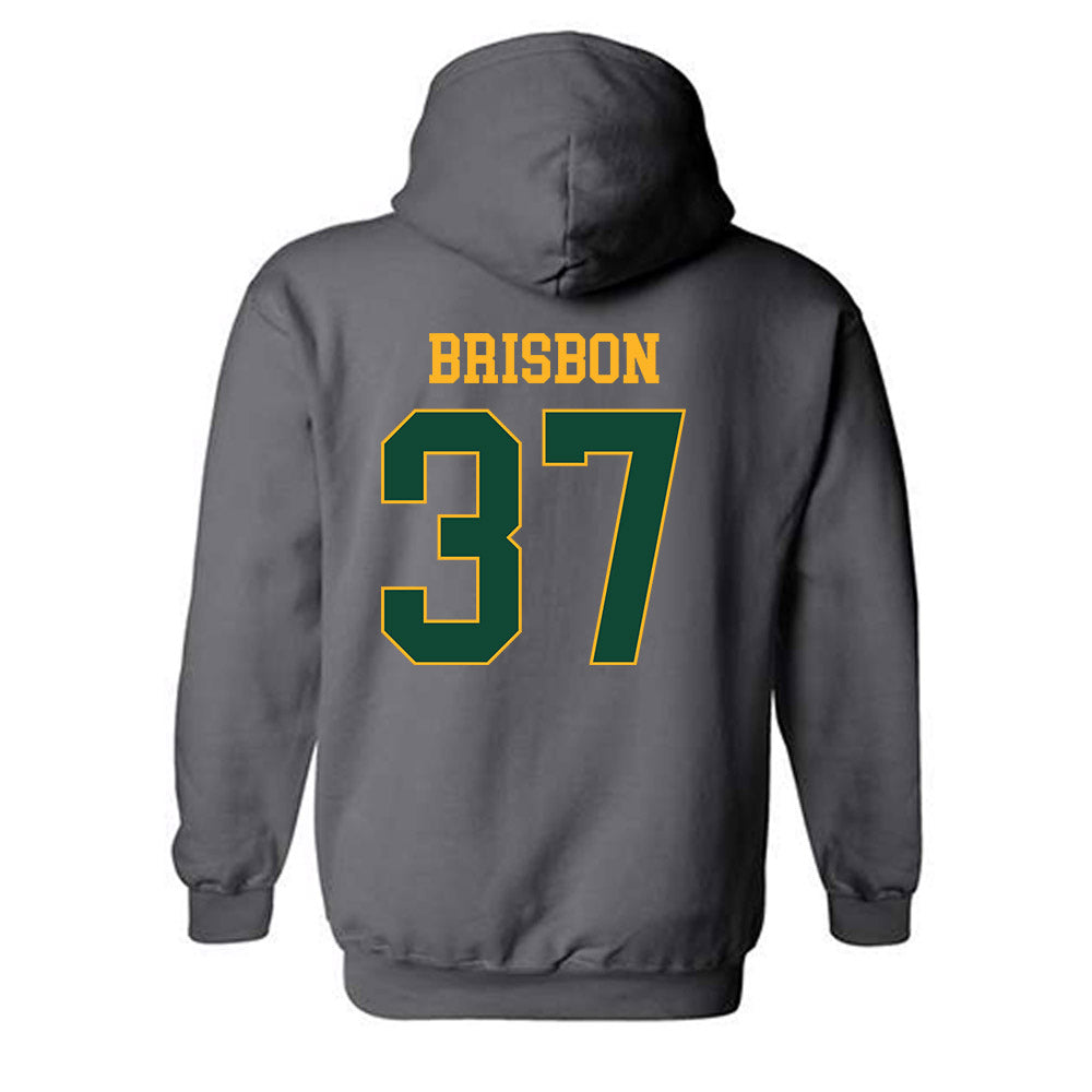 Baylor - NCAA Football : Demetrius Brisbon - Sports Shersey Hooded Sweatshirt-1