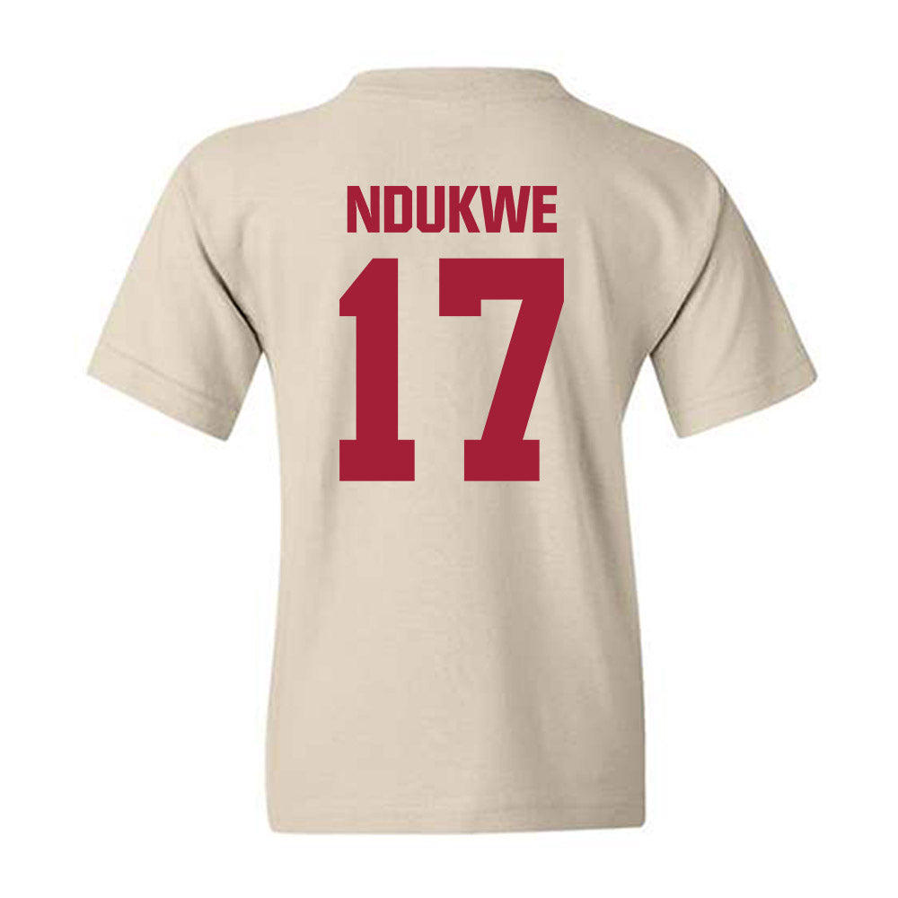Indiana - NCAA Football : Daniel Ndukwe - Youth T-Shirt-1