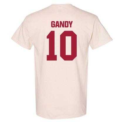 Indiana - NCAA Football : Ryland Gandy - T-Shirt-1