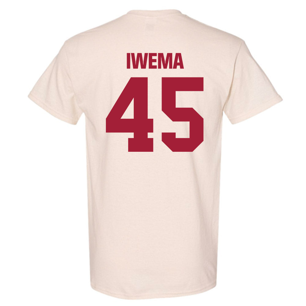 Indiana - NCAA Softball : Lexi Iwema - T-Shirt-1