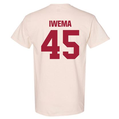 Indiana - NCAA Softball : Lexi Iwema - T-Shirt-1