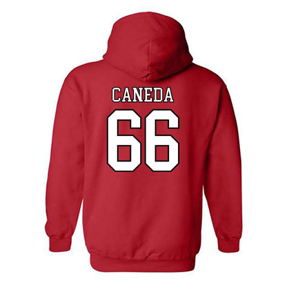 Nebraska - NCAA Softball : Katelyn Caneda - Replica Shersey Hooded Sweatshirt-1