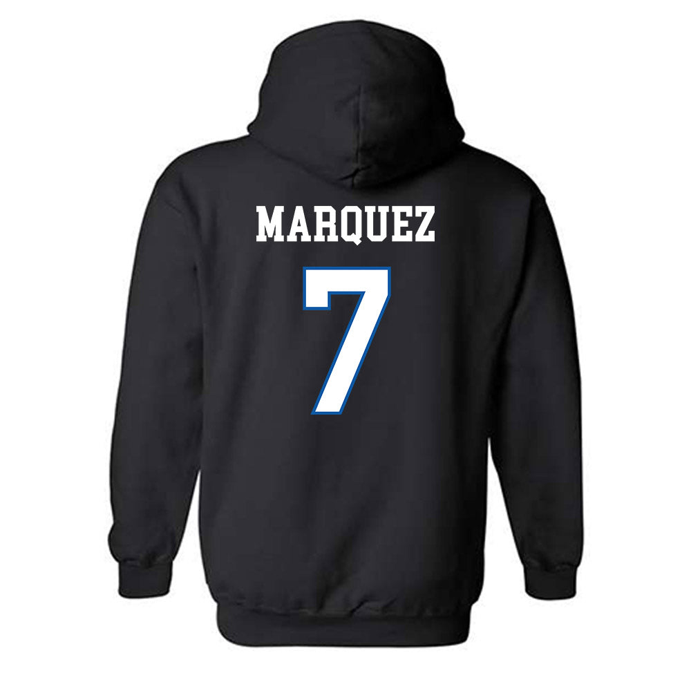 UNC Asheville - NCAA Women's Basketball : Aileen Marquez - Classic Shersey Hooded Sweatshirt-1