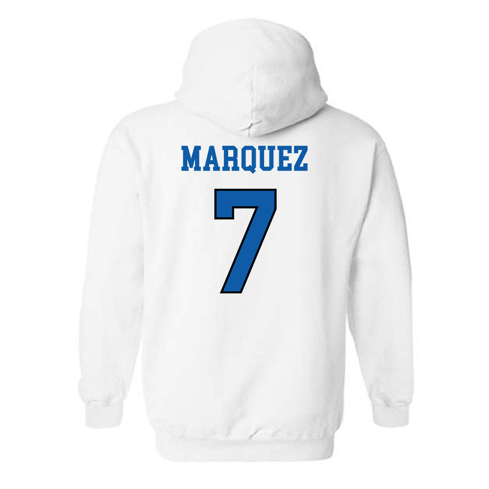 UNC Asheville - NCAA Women's Basketball : Aileen Marquez - Classic Shersey Hooded Sweatshirt-1
