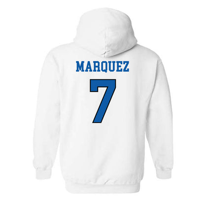 UNC Asheville - NCAA Women's Basketball : Aileen Marquez - Classic Shersey Hooded Sweatshirt-1