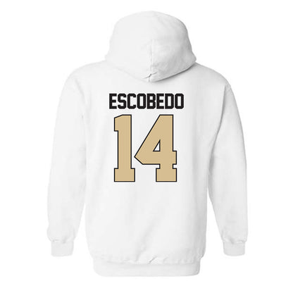PFW - NCAA Men's Soccer : Jonny Escobedo - Classic Shersey Hooded Sweatshirt-1