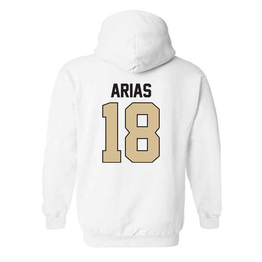 PFW - NCAA Men's Soccer : Daven Arias - Classic Shersey Hooded Sweatshirt-1