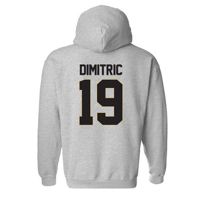 PFW - NCAA Women's Volleyball : Miona Dimitric - Classic Shersey Hooded Sweatshirt-1
