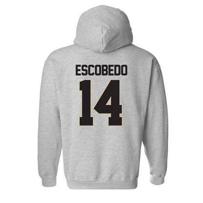 PFW - NCAA Men's Soccer : Jonny Escobedo - Classic Shersey Hooded Sweatshirt-1
